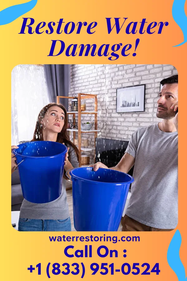 water restoration Premier Recovery & Associates Manilla